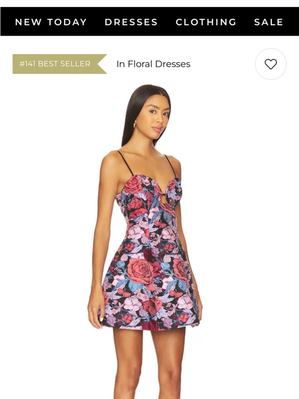 Elliatt Floral Mini Dress in Black with Pink and Blue Roses